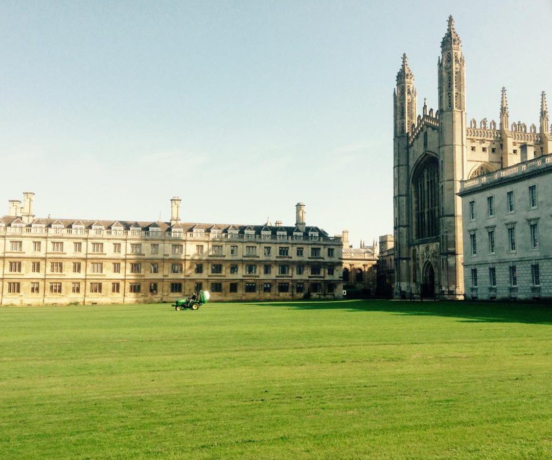 A closely mown college lawn in Cambridge in early morning light
